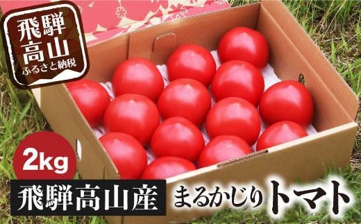 【2025年予約受付】【2025夏】飛騨高山産 トマト『麗月』 2kg | とまと 産地直送 野菜 夏野菜 飛騨高山 まるかじり農園 FW002 588634 - 岐阜県高山市