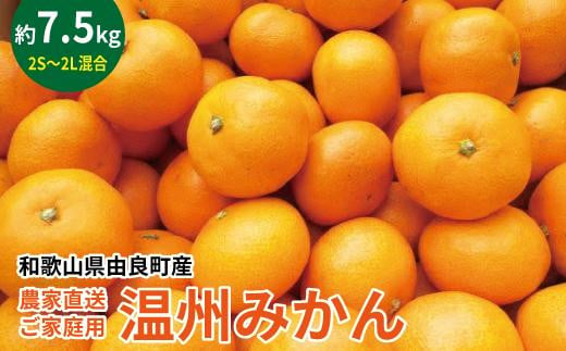 農家直送 ご家庭用 和歌山県由良町産温州みかん 約7.5kg 2S～2Lサイズ混合 1530793 - 和歌山県由良町