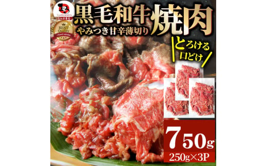 1131-2　とろける黒毛和牛リッチな薄切り焼肉750g(250g×3P) 秘伝のタレ漬け 788022 - 香川県三木町