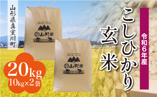 ＜配送時期が選べて便利＞ 令和6年産 真室川町 コシヒカリ  ［玄米］ 20kg（10kg×2袋） 1538125 - 山形県真室川町