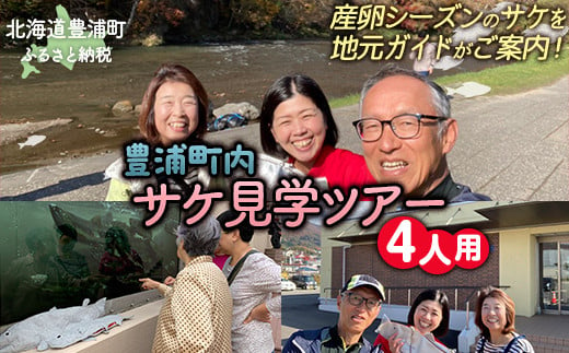 【豊浦町内】サケ見学ツアー（4人用）【 ふるさと納税 人気 おすすめ ランキング 体験 イベント サケ 産卵 ガイド 見学 4人 北海道 豊浦町 送料無料 】 TYUL020