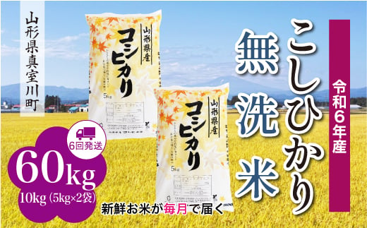 ＜配送時期が選べて便利な定期便＞ 令和6年産 真室川町 コシヒカリ  ［無洗米］ 60㎏ 定期便（10kg×6回お届け） 1538134 - 山形県真室川町