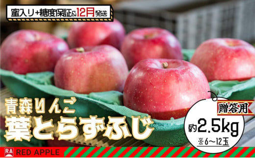 りんご 【 12月発送 】 蜜入り ＆ 13度糖度保証 贈答用 葉とらず ふじ 約 2.5kg 【 弘前市産 青森りんご 】 1106843 - 青森県弘前市