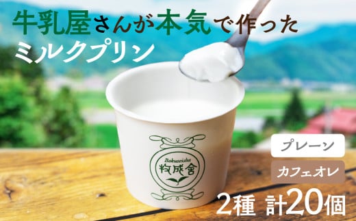 牛乳屋さんのつくるミルクの自然なおいしさを詰め込んだ濃厚ミルクプリン2種 20個 プレーン カフェオレ お菓子 スイーツ 洋菓子 寒天 冷凍発送 卵不使用 生クリーム不使用 食べ比べ 牧成舎 2129881 - 岐阜県飛騨市