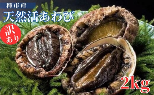 種市産天然活あわび(訳あり) 16～22個程度(約2kg) お刺身 鮑 ステーキ 産地直送 冷蔵