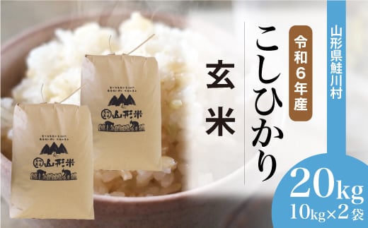 ＜令和6年産米＞ 鮭川村 コシヒカリ 【玄米】 20kg （10kg×2袋）＜配送時期選べます＞ 1531111 - 山形県鮭川村