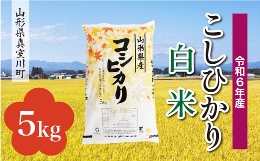 ＜配送時期が選べて便利＞ 令和6年産 真室川町 コシヒカリ  ［白米］ 5kg（5kg×1袋） 1538117 - 山形県真室川町