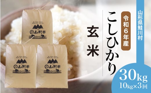 ＜令和6年産米＞ 鮭川村 コシヒカリ 【玄米】 30kg 定期便（10kg×3回発送）＜配送時期選べます＞ 1531114 - 山形県鮭川村