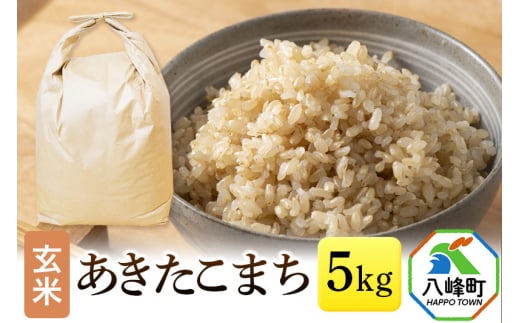 あきたこまち 八峰町産 5kg【玄米】令和6年産 1523939 - 秋田県八峰町