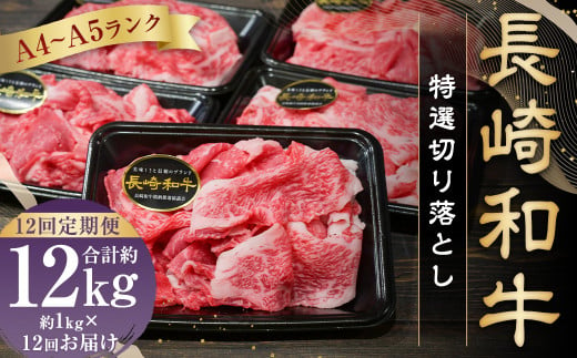 【全12回定期便】【A4～A5ランク】長崎和牛 特選 切り落とし 約1kg (200g×5パック) お肉 牛肉 肉 牛 和牛 国産牛 国産 1461470 - 長崎県長崎市