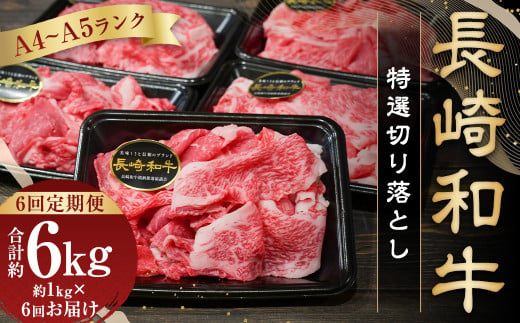 【全6回定期便】【A4～A5ランク】長崎和牛 特選 切り落とし 約1kg (200g×5パック) 牛肉 肉 牛 和牛 国産牛 国産 長崎和牛 1461505 - 長崎県長崎市