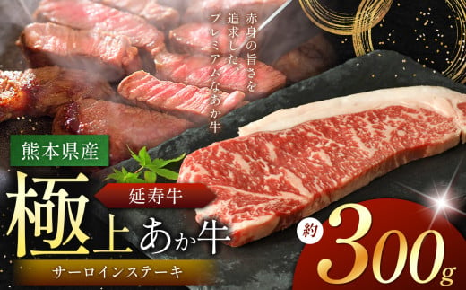 熊本県産 あか牛 「-延寿牛-」 サーロイン ステーキ 約300g| 肉 にく お肉 おにく 牛肉  熊本県 苓北町 1582732 - 熊本県苓北町