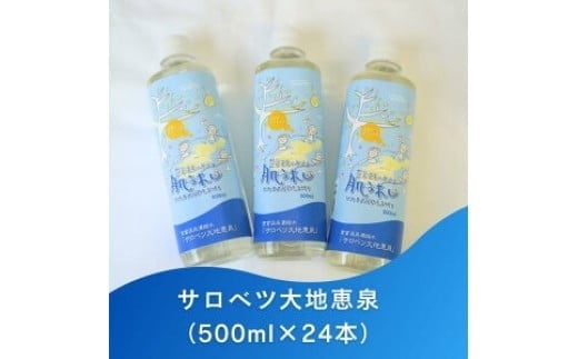 豊富温泉 濃縮温泉水 サロベツ大地恵泉 (500ml×24本) 312214 - 北海道豊富町