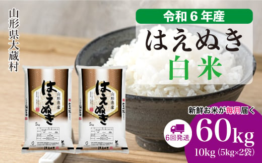 令和6年産 大蔵村 はえぬき ＜白米＞60kg 定期便（10kg×6回お届け）＜配送時期が選べて便利＞ 1524143 - 山形県大蔵村