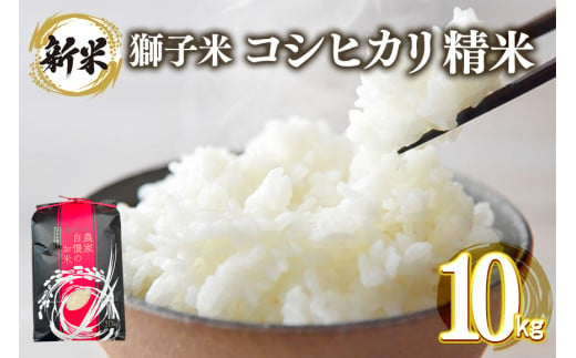 【令和6年産】獅子米 コシヒカリ 精米 10kg 岡田ファーム コンテスト受賞米 お米 白米 米 おこめ ブランド米 こしひかり 10キロ 国産 単一原料米 コメ こめ ご飯 銘柄米 茨城県産 茨城 産直 産地直送 農家直送 ごはん 家庭用 贈答用 お取り寄せ ギフト 茨城県 石岡市 (G419) 1379726 - 茨城県石岡市