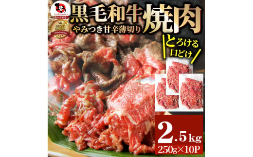 1131-4　とろける黒毛和牛リッチな薄切り焼肉2.5kg(250g×10P) 秘伝のタレ漬け