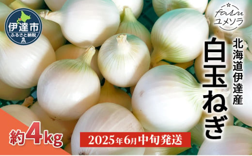 [№5525-0949]【2025年6月中旬発送】白玉ねぎ 4kg 北海道 伊達産 タマネギ 玉葱 サラダ 1280946 - 北海道伊達市