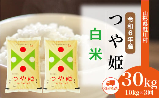 ＜令和6年産米＞ 鮭川村 つや姫 【白米】 30kg 定期便（10kg×3回発送）＜配送時期選べます＞ 1531135 - 山形県鮭川村