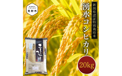 米 20kg 新潟県産 コシヒカリ 特別栽培米 令和6年産 「湧水コシヒカリ」 精米したてをお届け 新潟のど真ん中見附市 こしひかり 県認証米 1556956 - 新潟県見附市