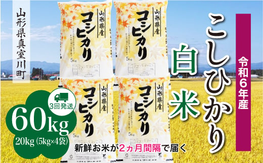 ＜配送時期が選べて便利な定期便＞ 令和6年産 真室川町 コシヒカリ  ［白米］ 60㎏ 定期便（20kg×3回お届け） 1538135 - 山形県真室川町