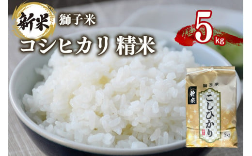 【令和6年産】獅子米 コシヒカリ 精米 5kg コンテスト受賞米 お米 白米 米 おこめ ブランド米 こしひかり 5キロ 国産 単一原料米 コメ こめ ご飯 銘柄米 茨城県産 茨城 産直 産地直送 農家直送 ごはん 家庭用 贈答用 お取り寄せ ギフト 茨城県 石岡市 (G418) 1379725 - 茨城県石岡市