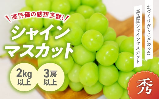 2025年分発送】 完熟 シャインマスカット 2房以上 1.2kg 先行予約 先行 予約 山梨県産 朝採り 新鮮 土にこだわった シャインマスカット  産地直送 フルーツ 果物 くだもの ぶどう ブドウ 葡萄 シャイン シャインマスカット 新鮮 人気 おすすめ 国産 贈答 ギフト お取り寄せ ...