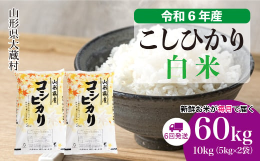 ＜配送時期が選べて便利な定期便＞ 令和6年産 コシヒカリ  ［白米］ 60㎏ 定期便（10kg×6回お届け） 大蔵村 1524163 - 山形県大蔵村