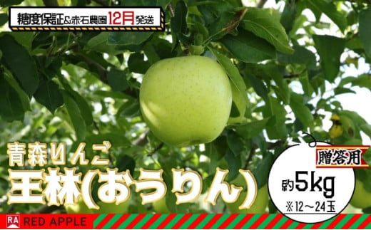 りんご 【 12月発送 】 13度糖度保証 贈答用 王林 約 5kg 【 弘前市産 青森りんご 】 1106848 - 青森県弘前市