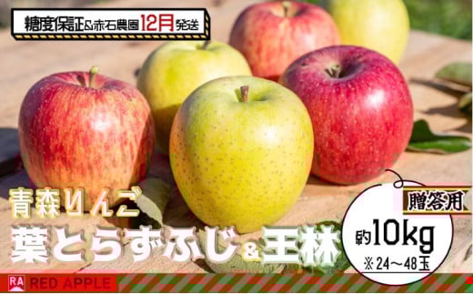 りんご 【 12月発送 】 13度糖度保証 贈答用 蜜入り 葉とらず ふじ ＆ 王林 約 10kg 【 弘前市産 青森りんご 】 果物 フルーツ 食後 デザート 旬の果物 旬のフルーツ りんご食べ比べ