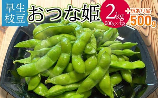 【令和7年産先行予約】山形県鶴岡市産 早生枝豆 「おつな姫」2kg+訳あり品500g　株式会社アグリシア 975262 - 山形県鶴岡市