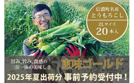 信濃町名産とうもろこし『落影農場の恵味（めぐみ） 20本セット』／スイートコーンの人気品種を早期予約限定で受付中！ 【2025年夏のご予約受付開始！】 令和7年7月下旬〜出荷予定 2025年夏出荷分 先行予約【長野県信濃町ふるさと納税】 1534566 - 長野県信濃町