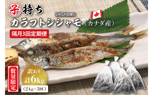 【定期便】 子持ち カラフトシシャモ ２kg (500g×4袋) 訳アリ シシャモ ししゃも カラフトししゃも 大洗 規格外 訳あり わけあり 傷 半年お届け（2ヶ月に1度 ２kg × 3回 お届け ） 