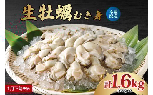 【2026年1月下旬発送】ナバラ水産 生牡蠣 むき身 1.6kg (800g×2袋)