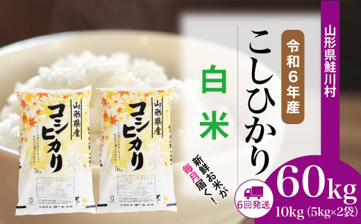 ＜令和6年産米＞ 鮭川村 コシヒカリ 【白米】 60kg 定期便（10kg×6回発送）＜配送時期選べます＞ 1531119 - 山形県鮭川村