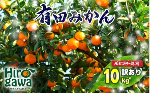 訳あり ご家庭用 農家直送 有田みかん 10kg サイズ混合 光センサー選別 ＜※11月中旬～翌年1月中旬に順次発送予定＞ ※北海道・沖縄・離島への配送不可 / 温州みかん みかん 訳あり わけあり 家庭用【nuk004-noka-c10A】 1531484 - 和歌山県広川町