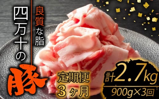 【定期便3回】四万十ポークスライス 計2.7kg（900g×3ヶ月連続お届け) 2Bコース | 豚肉 豚バラ肉 小分け 小間切れ スライス 切り落とし 冷凍 真空パック 簡単調理 細切れ 大容量 肉 高知県 須崎市 TM30000 1532710 - 高知県須崎市