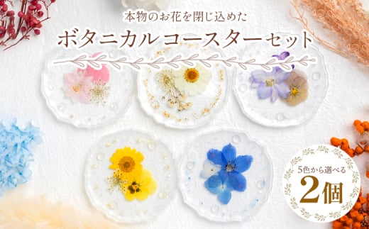 コースター 本物のお花を閉じ込めた ボタニカル コースター 2個セット - 雑貨 花 押し花 おしゃれ 可愛い 記念日 誕生日 母の日 プレゼント 贈り物 ギフト LIME 高知県 香南市 lm-0005