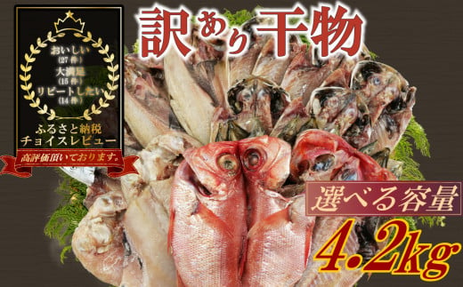 訳あり 干物 おまかせ 選べる 容量 約4.2kg 詰め合わせ 沼津 ひもの すずひで ひもの 訳あり おまかせ 干物 ひもの 詰め合わせ 訳あり 干物 セット 本場沼津 