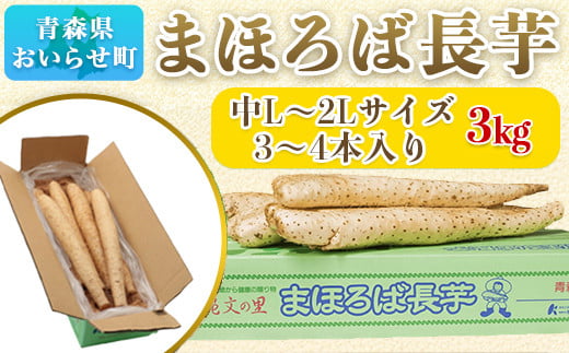 青森県産まほろば長芋 中3kg 【 ふるさと納税 人気 おすすめ ランキング 長芋 長いも ながいも ギフト 贈答用 プレゼント おいらせ 青森 青森県産 青森県 おいらせ町 送料無料 】OIT111 1524504 - 青森県おいらせ町