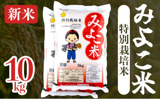 【令和6年産】みよこ米（まっしぐら）10kg（5kg×2袋）【特別栽培米 ご飯 ごはん 新米 米 こめ お米 弁当 白米 精米 国産米 銘柄米 県産米 ブランド米 おにぎり 国産 青森県 七戸町】【02402-0317】 1540815 - 青森県七戸町