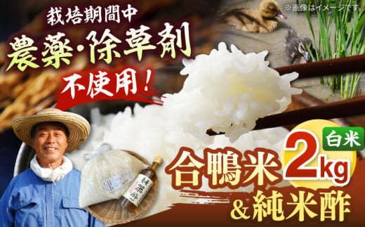 古野農場の 合鴨農法 で作った「 令和6年産 合鴨米 （ 白米 ）2kg」と「 純米酢 」のセット ▼ 福岡 おすすめ 美味しい 名産品 精米 桂川町/合鴨家族 古野農場[ADAL004] 535506 - 福岡県桂川町