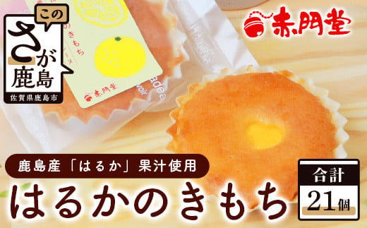 【赤門堂の焼菓子】はるかのきもち 21個 マドレーヌ 焼き菓子 焼菓子 お菓子 郷土菓子 ご当地スイーツ 焼き菓子 焼菓子 贈物 プレゼント ギフト 贈り物 お土産 おやつ B-641 971306 - 佐賀県鹿島市