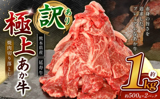 熊本県産 あか牛 「-延寿牛-」 焼肉 切り落とし 約1kg | 肉 にく お肉 おにく 牛肉  熊本県 苓北町 1582793 - 熊本県苓北町