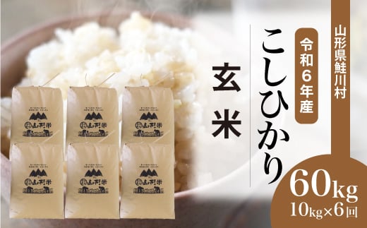 ＜令和6年産米＞ 鮭川村 コシヒカリ 【玄米】 60kg 定期便（10kg×6回発送）＜配送時期選べます＞ 1531118 - 山形県鮭川村