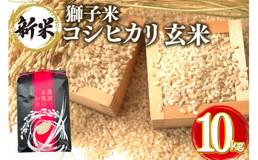 【令和6年産】獅子米 コシヒカリ 玄米 10kg コンテスト受賞米 お米 米 おこめ ブランド米 こしひかり 10キロ 国産 単一原料米 コメ こめ ご飯 銘柄米 茨城県産 茨城 産直 産地直送 農家直送 ごはん 家庭用 贈答用 お取り寄せ ギフト 茨城県 石岡市 (G420) 1379727 - 茨城県石岡市