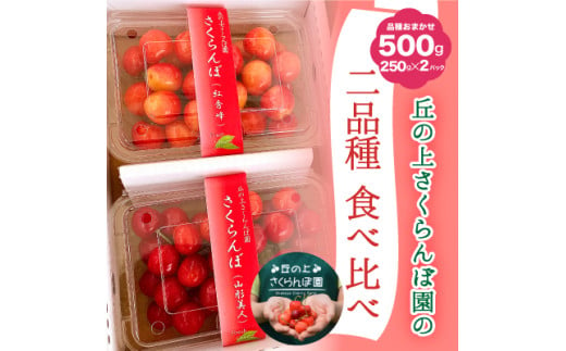 A-117【2025年6月から発送予定】さくらんぼ食べ比べセット 500g＜さくらんぼ2種入り　各250g＞　先行予約　さくらんぼ