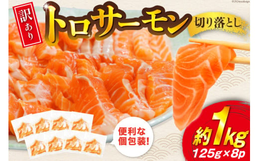 訳あり トロサーモン 切り落とし 1kg 125g✕8p [足利本店 宮城県 気仙沼市 20564845] 鮭 お刺し身 刺し身 個包装 チリ銀鮭 銀鮭 海鮮 魚介類 海鮮丼 魚介 魚 トロ 無添加