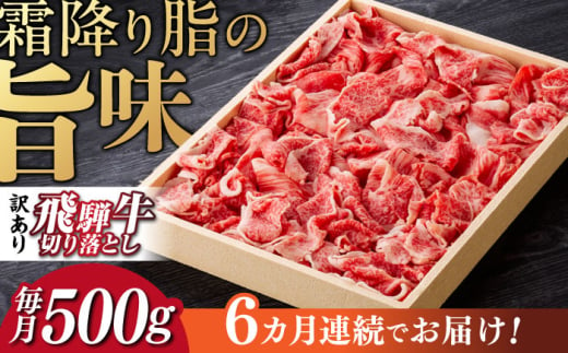 【6回定期便】 飛騨牛 切り落とし 500g 等級 部位お任せ 化粧箱入り すき焼き 鍋 スライス 牛肉 岐阜市 / だるまミート [ANBE015]