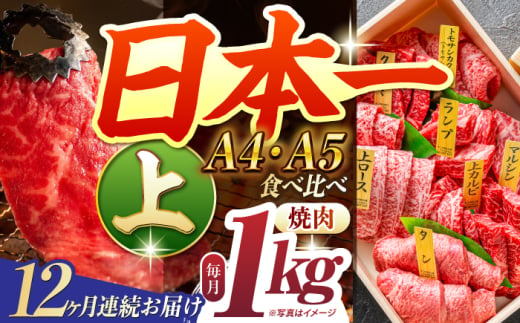 【12回定期便】【A4-A5上ランク】 長崎和牛 焼肉 盛り合わせ（上盛り）約1kg 長与町/meat shop FUKU [ECS012] 国産 和牛 焼肉 セット こくさん 牛肉 やきにく 小分け 焼肉 焼き肉 冷凍 焼肉 ロース 食べ比べ 赤身 1kg 焼肉セット 定期便 定期 1529967 - 長崎県長与町