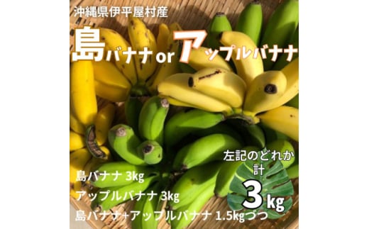 ＜2025年7月発送＞もっちり甘い 島バナナ アップルバナナ 3kg 伊平屋村産【1551876】 1498718 - 沖縄県伊平屋村